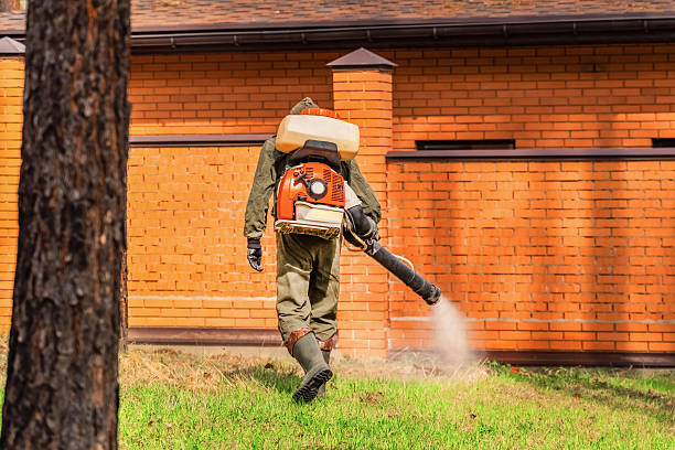 Trusted Ant Control service in Lake Ozark, MO - Nex Pest Control